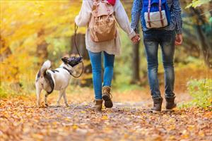 Perché passeggiare con il cane fa bene alla salute