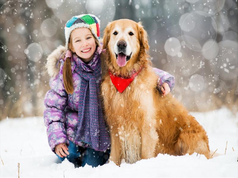 Pet therapy:  i cani stimolano le capacità comunicative e relazionali dei bambini autistici