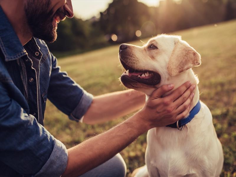 Un bacio per aiutare i cani in difficoltà 