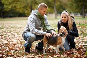 Alla scoperta del Parco Nazionale d´Abruzzo con ASD Come On Dog