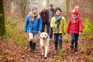 Foliage in Italia con il cane 