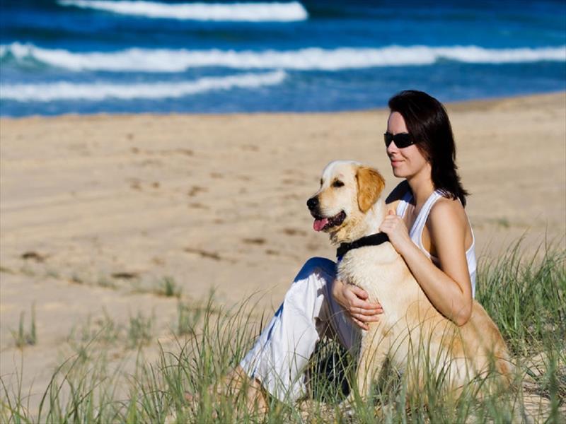 Una guida per le nostre vacanze a 4 zampe 