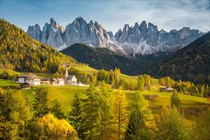 La tua estate a 4 zampe in Trentino Alto Adige 