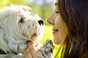 Cani e primavera: consigli per affrontarla al meglio 