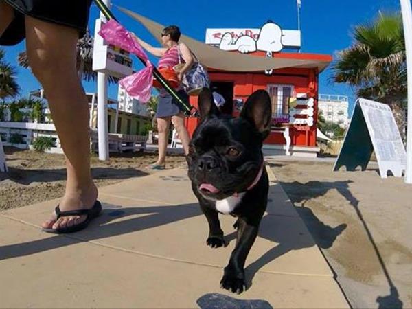 Spiagge Per Cani Riviera Romagnola Dog Beach Libere E