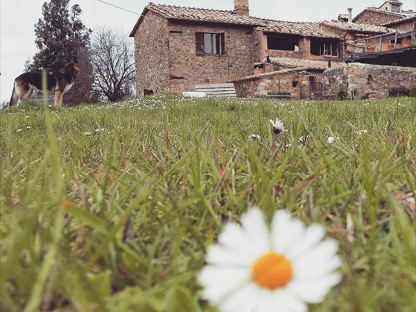 Agriturismo Il Cocco