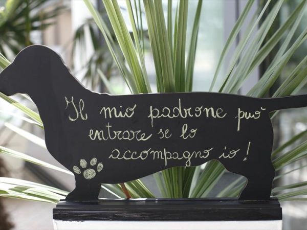 Hotel Principe for Pet Lovers