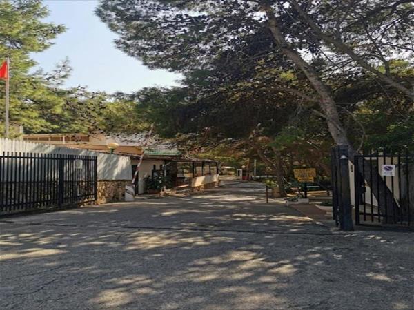 Camping Internazionale Nettuno