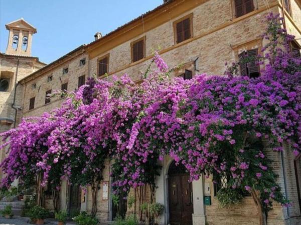 ATTICO SULLA BOUGANVILLE (Albergo d...