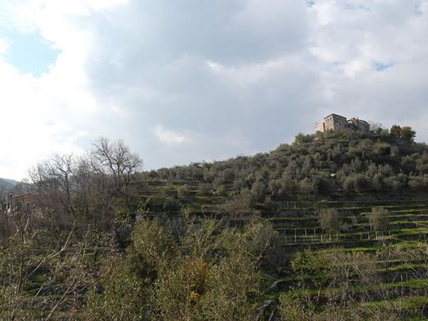 Agriturismo Il Bandito e la Princip...