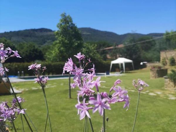 Alba Morus Bed e Breakfast sentiti a casa nel cuore della Toscana