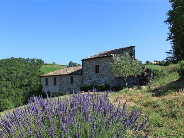 Agriturismo Carincone