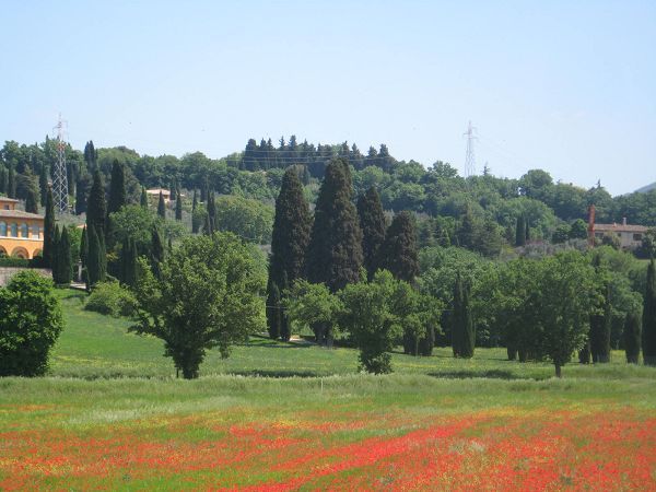 Casa Vacanze La Castellina