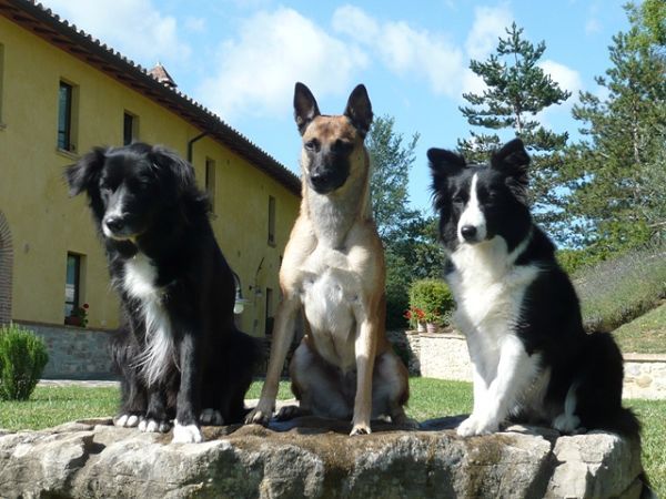 Agriturismo Casale degli Olmi