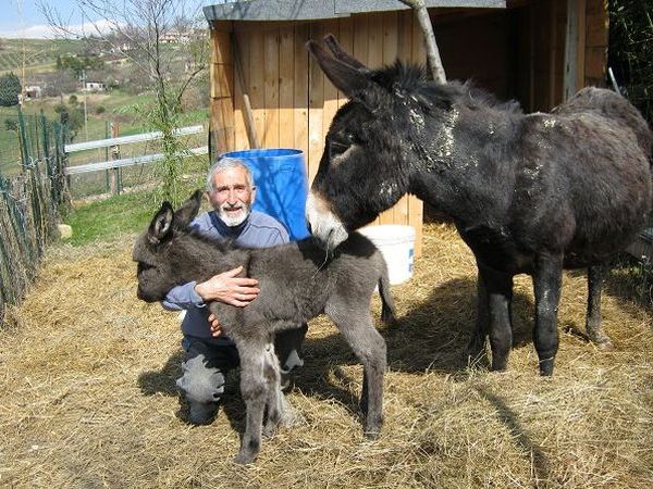 Agriturismo Casa Ciavaia