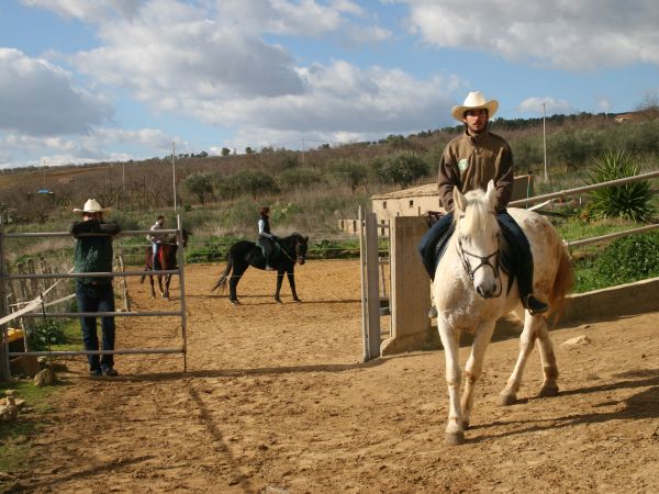 Agriturismo il Mandorleto