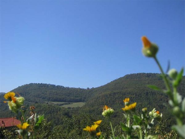 Agriturismo Podere Vicoferaldi