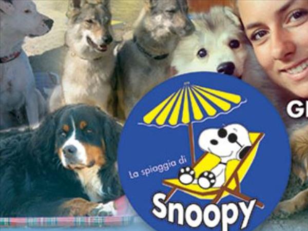 La Spiaggia di Snoopy