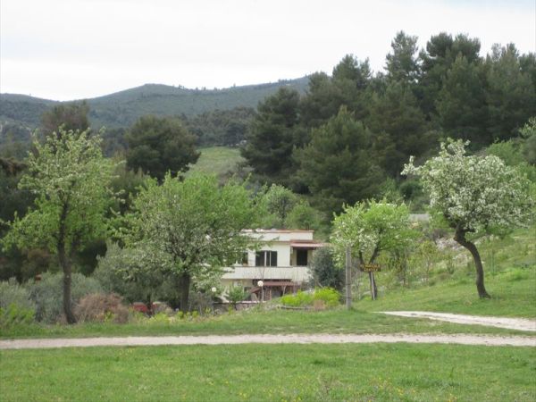 Azienda Agricola Gentile