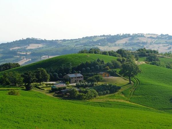 Agriturismo il fagiano