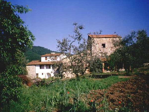 Agriturismo Podere Palazzuolo