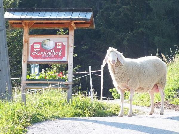 **** Agriturismo Zwiglhof