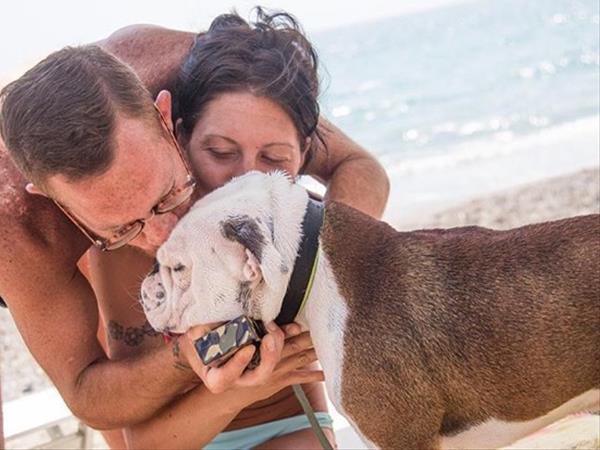 Spiagge Laghi Fiumi Piscine Marina Di Andora Cani Animali