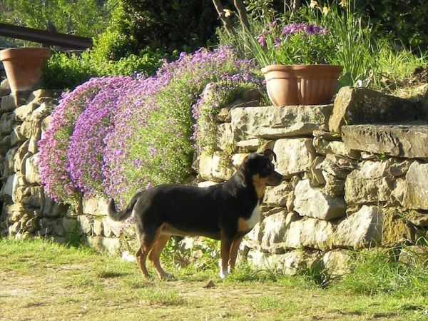 Agriturismo Cà d´Argella