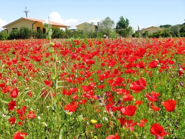 Agriturismo le Pignacce