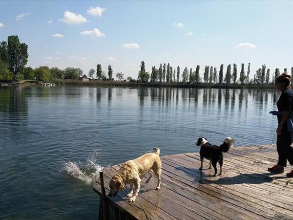 Agriturismi Per Cani Ferrara Masserie E Country House Con