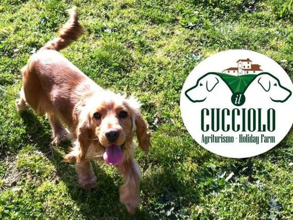 Agriturismo Il Cucciolo