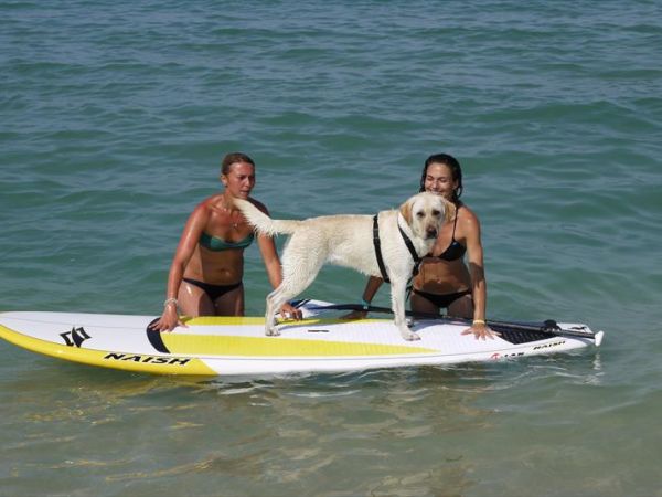 Spiagge Per Cani Ancona Dog Beach Libere E Attrezzate Con