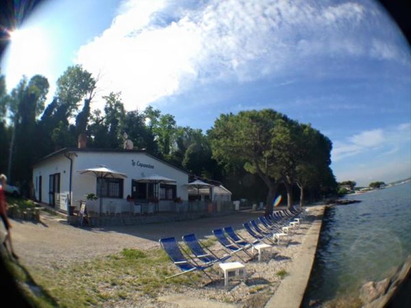 Spiagge Per Cani Lago Di Garda Dog Beach Libere E