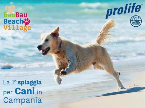 Spiagge Per Cani Campania Dog Beach Libere E Attrezzate