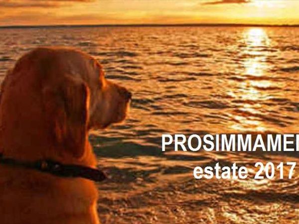 Spiagge Per Cani Palermo Dog Beach Libere E Attrezzate Con