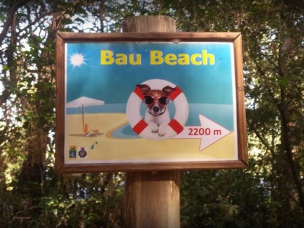 Spiagge Per Cani Livorno Dog Beach Libere E Attrezzate Con