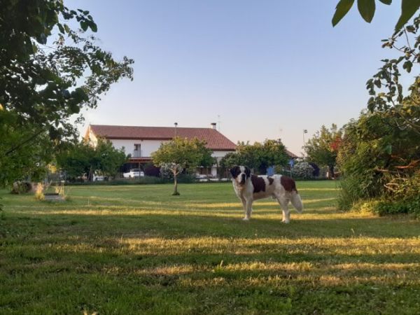 Ristorazione dell' Agriturismo il P...