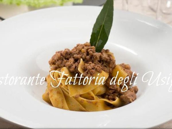 Fattoria degli Usignoli